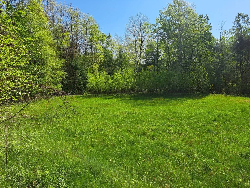 Picture 41
