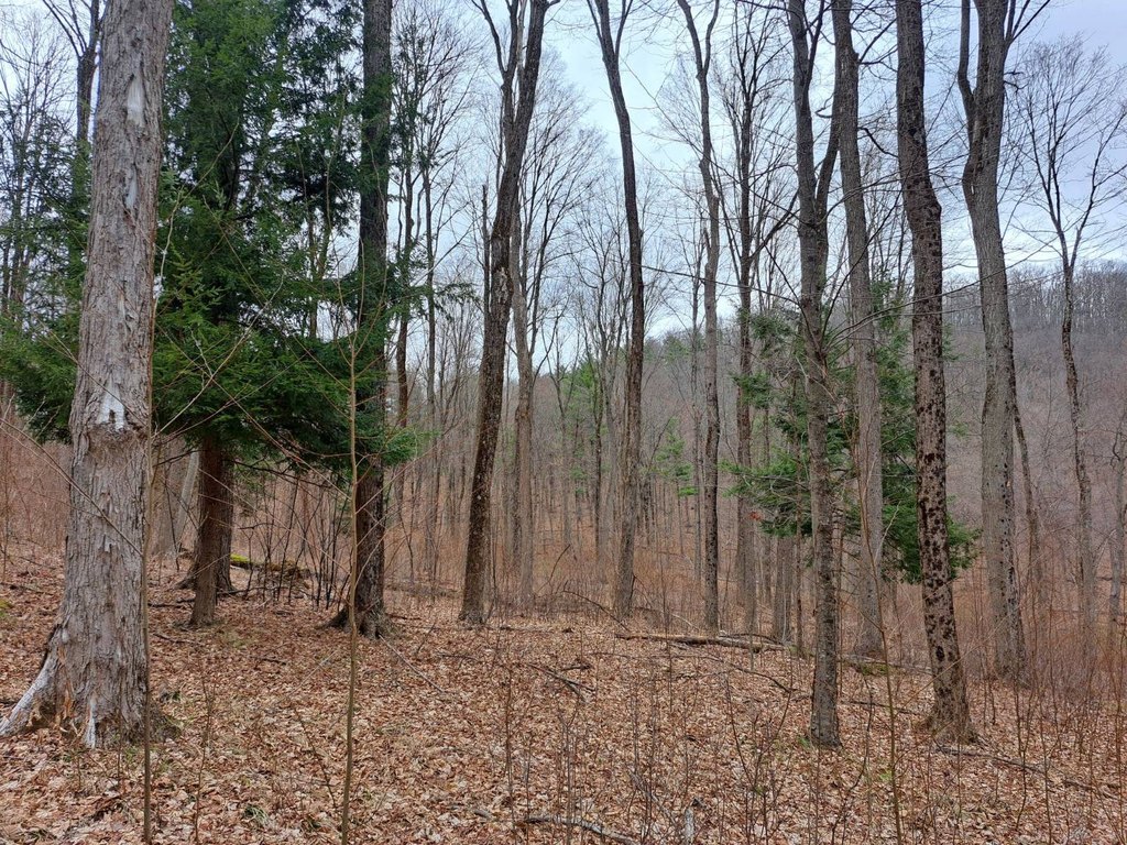 Picture 16
