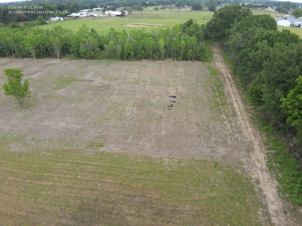 Picture 13