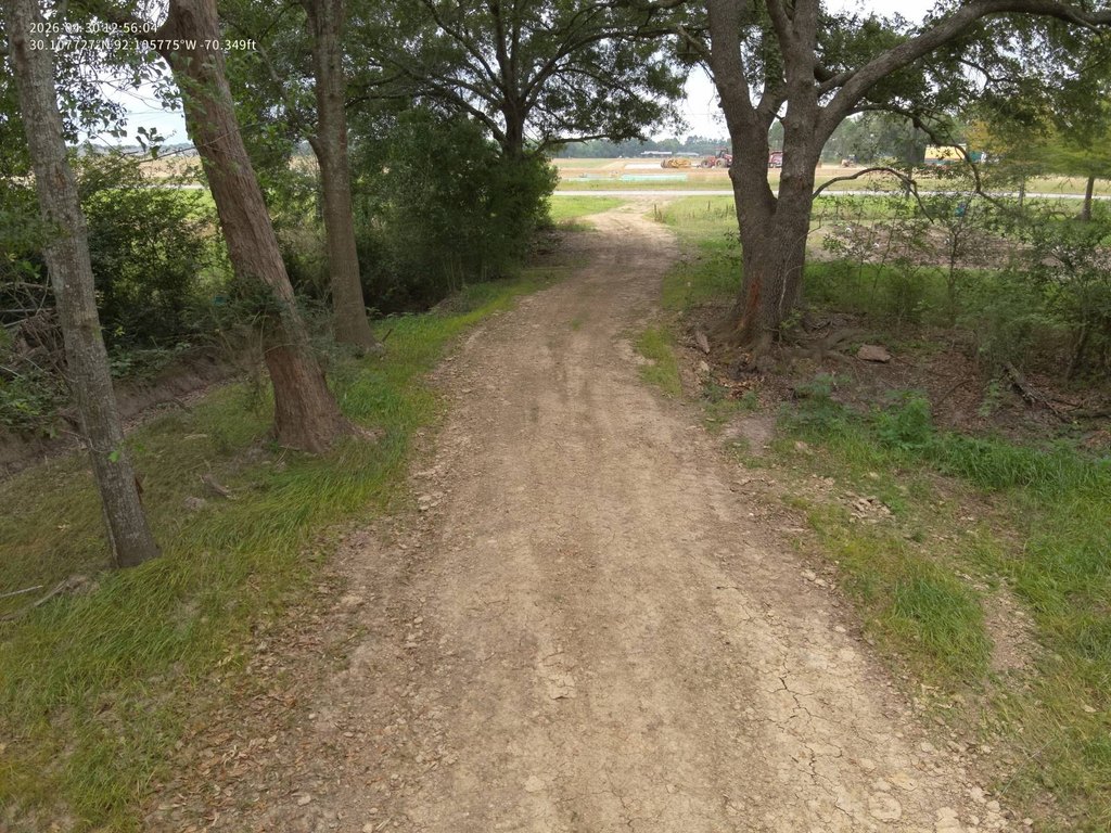 Picture 11