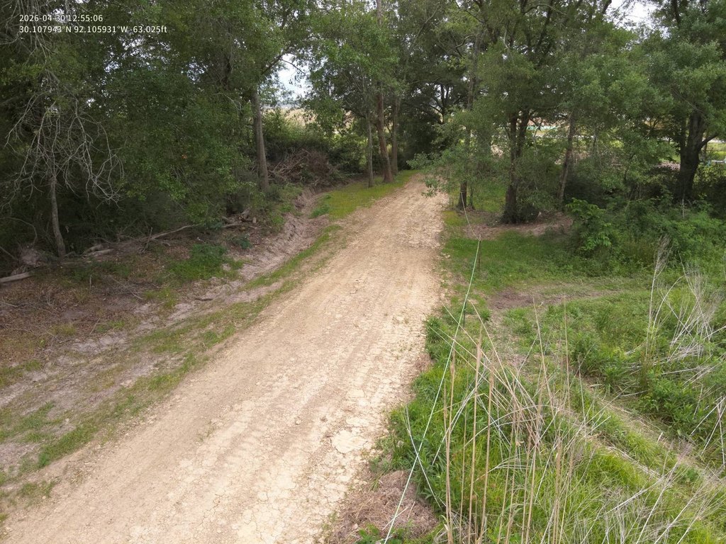 Picture 8