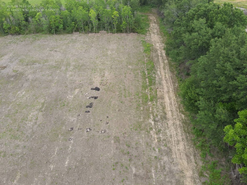 Picture 14