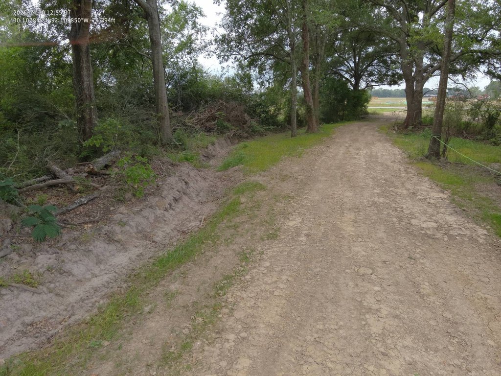 Picture 10