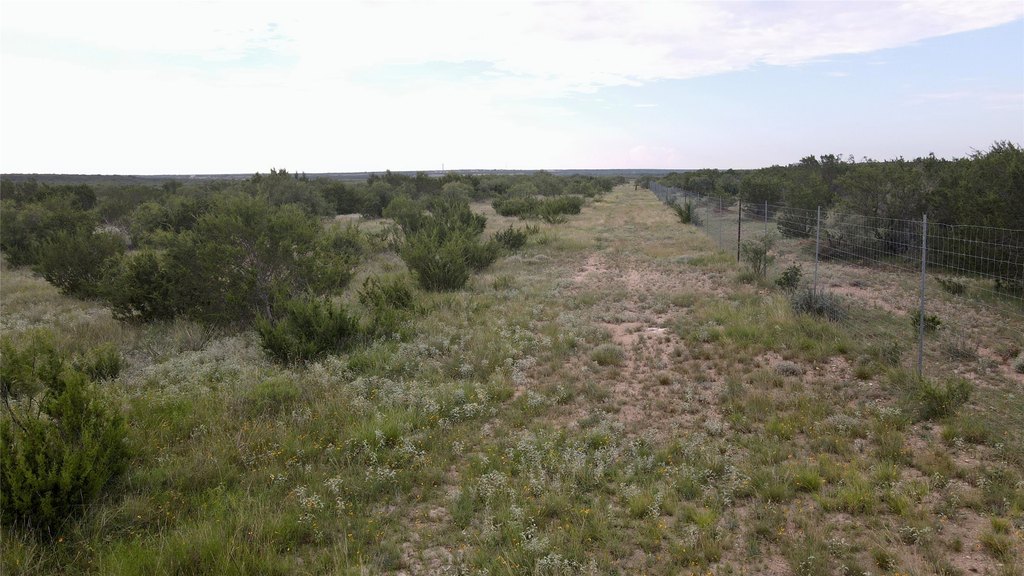 Picture 26