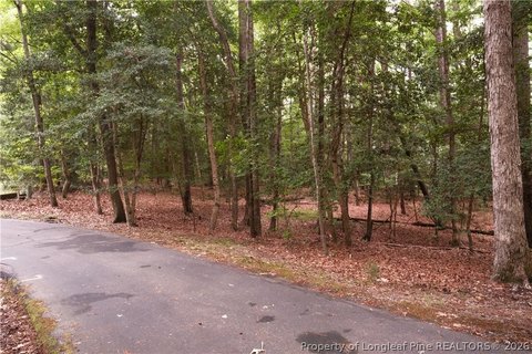 LAND - Sanford, NC