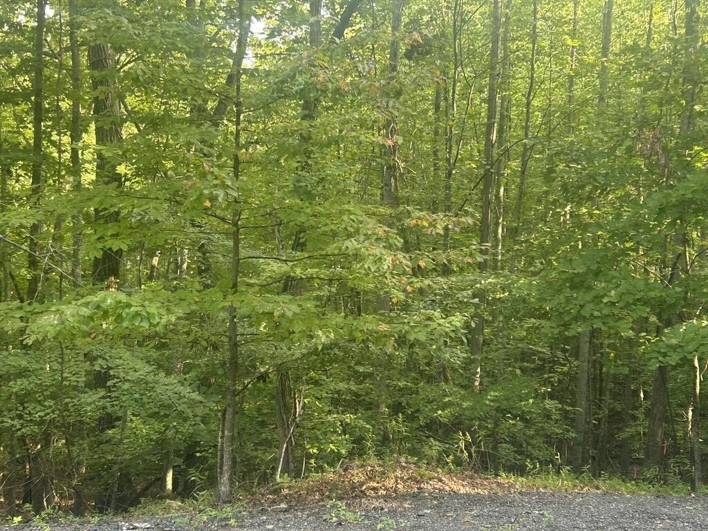 Picture 4