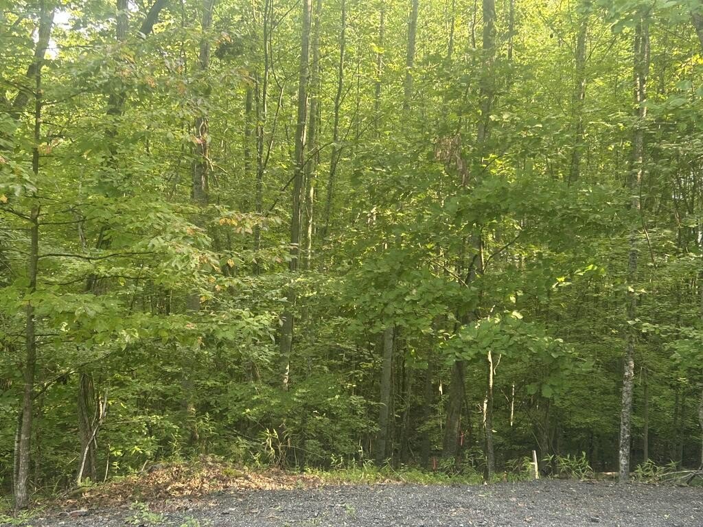 Picture 3