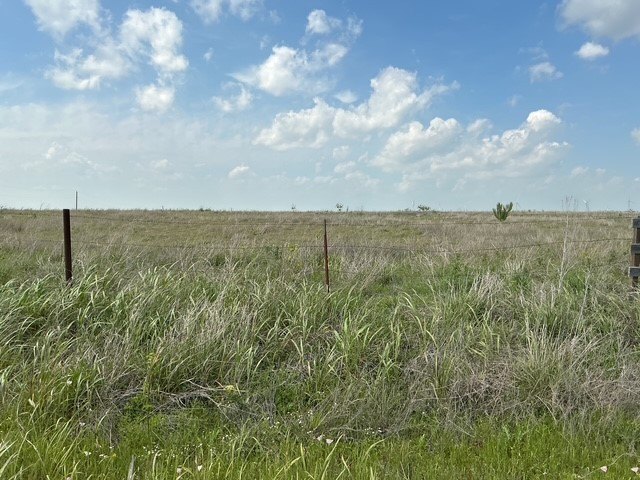 Picture 14