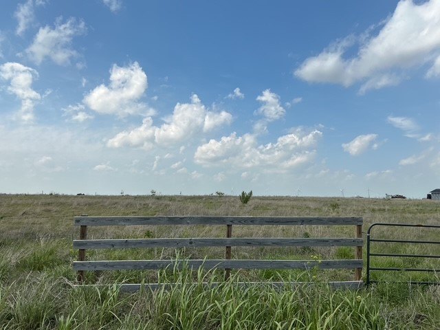 Picture 19