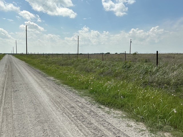 Picture 15