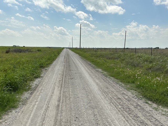 Picture 16