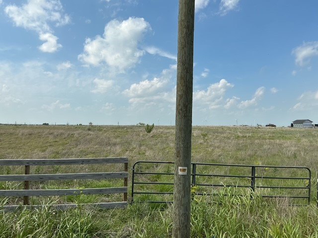 Picture 5