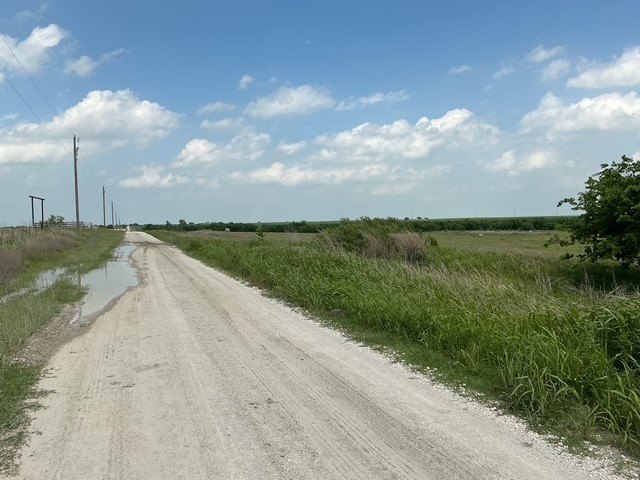 Picture 17