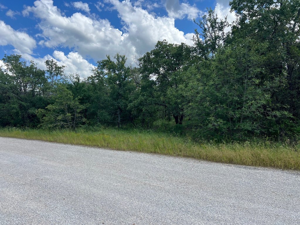 Picture 21