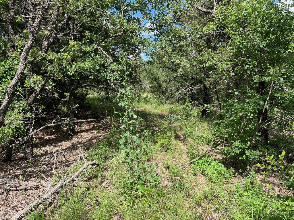 Picture 5