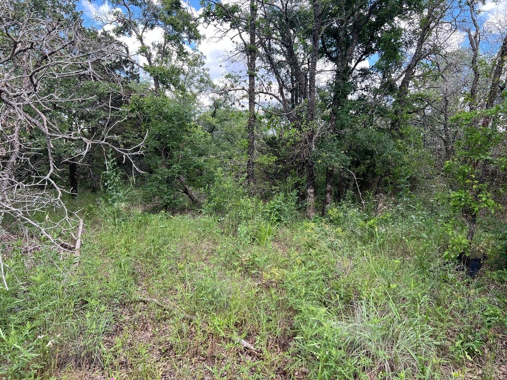 Picture 18