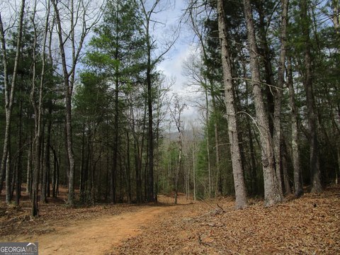 Land, Ellijay, GA