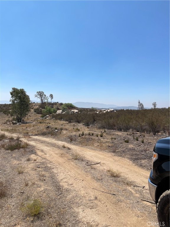 Picture 19