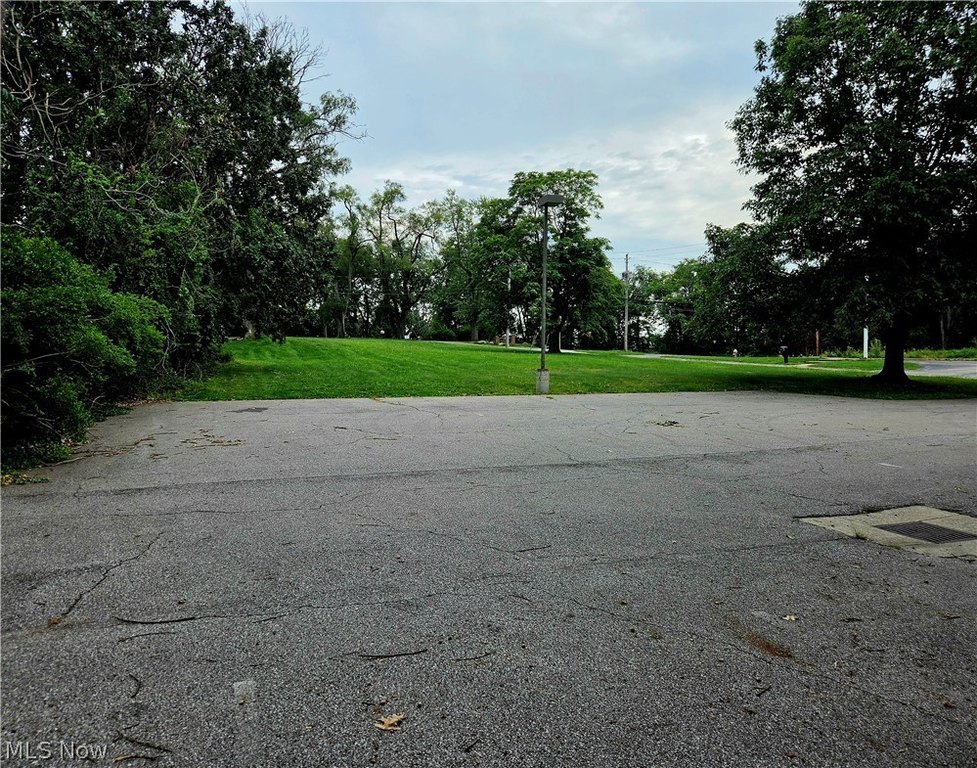 Picture 23