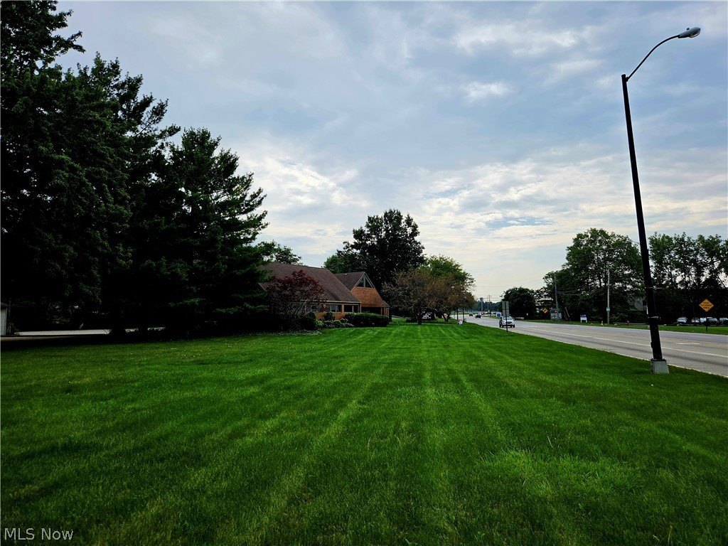 Picture 21
