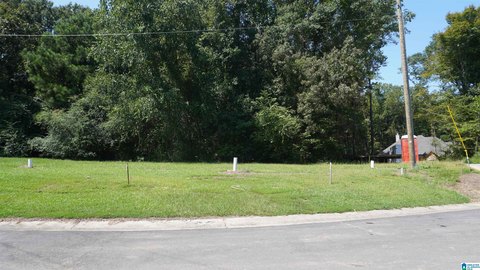 LAND - TUSCALOOSA, AL