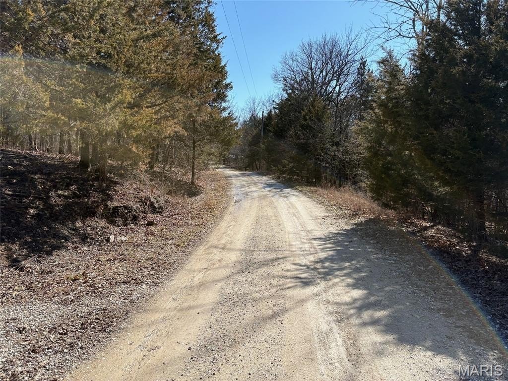 Picture 15