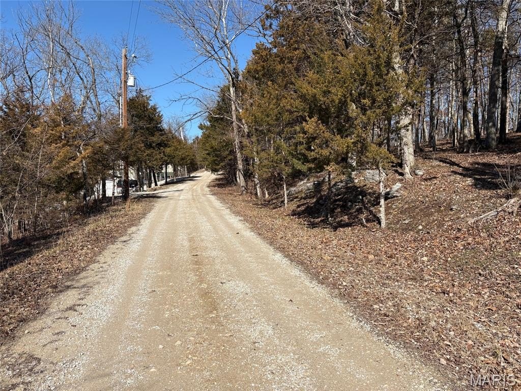 Picture 16