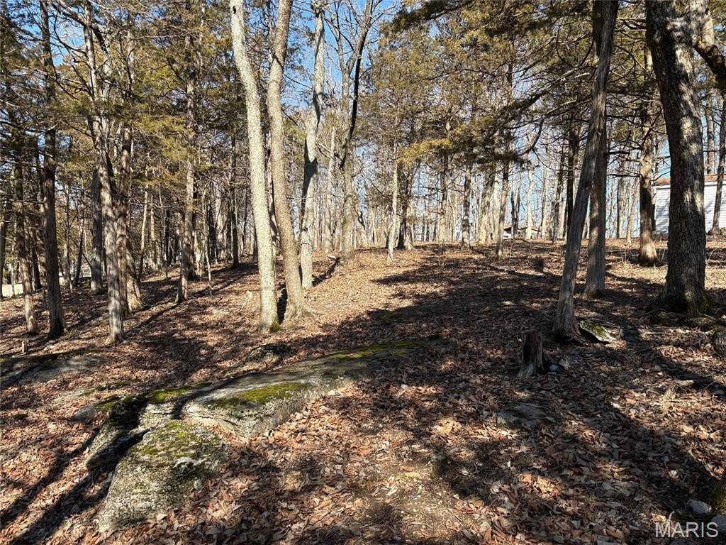 Picture 6