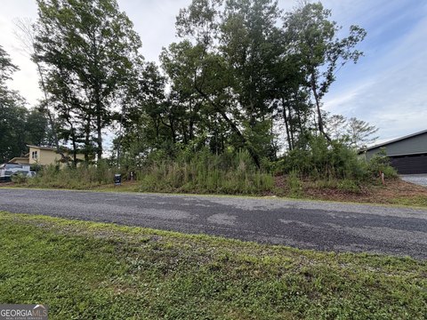 Ellijay Homesite in Gated Community