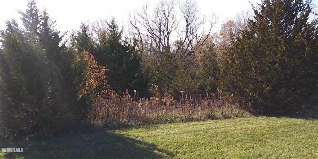 Picture 6