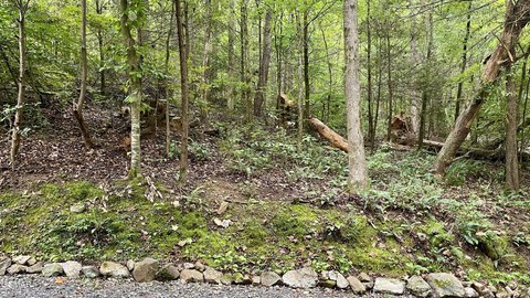 Land, Sevierville, TN
