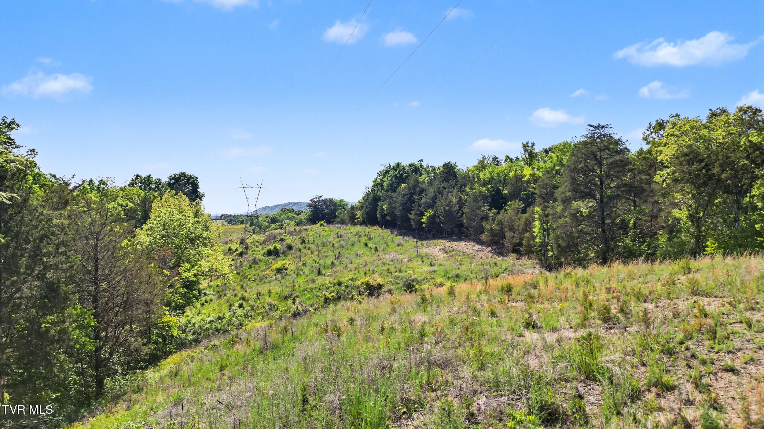 Land in Mosheim, Tennessee