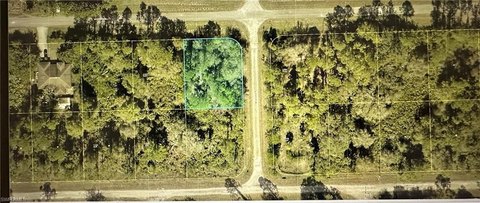 Wooded Lot in Lehigh Acres