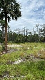 Cleared Lot in Palm Bay