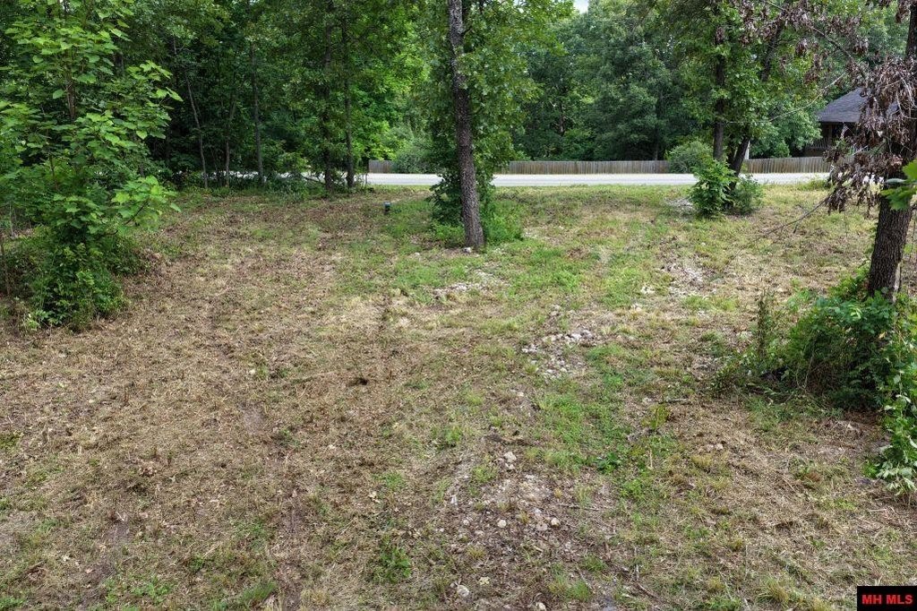 Picture 24