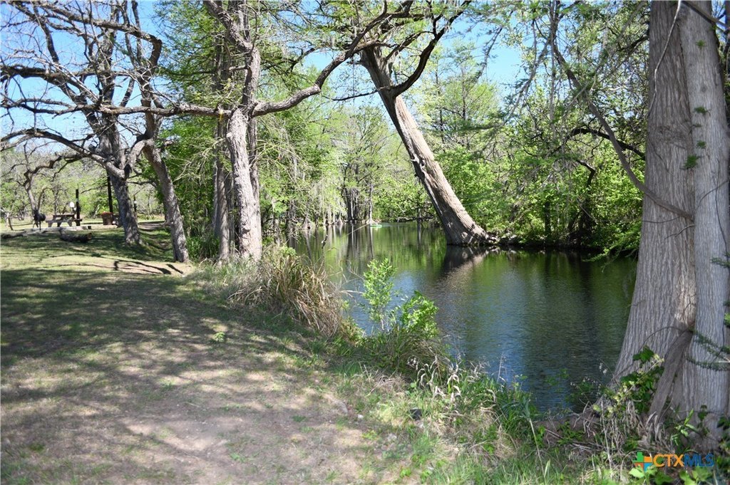 Picture 21