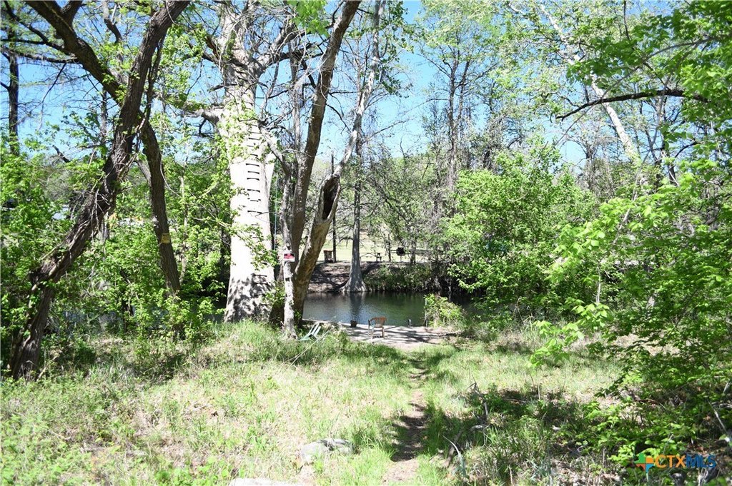 Picture 12