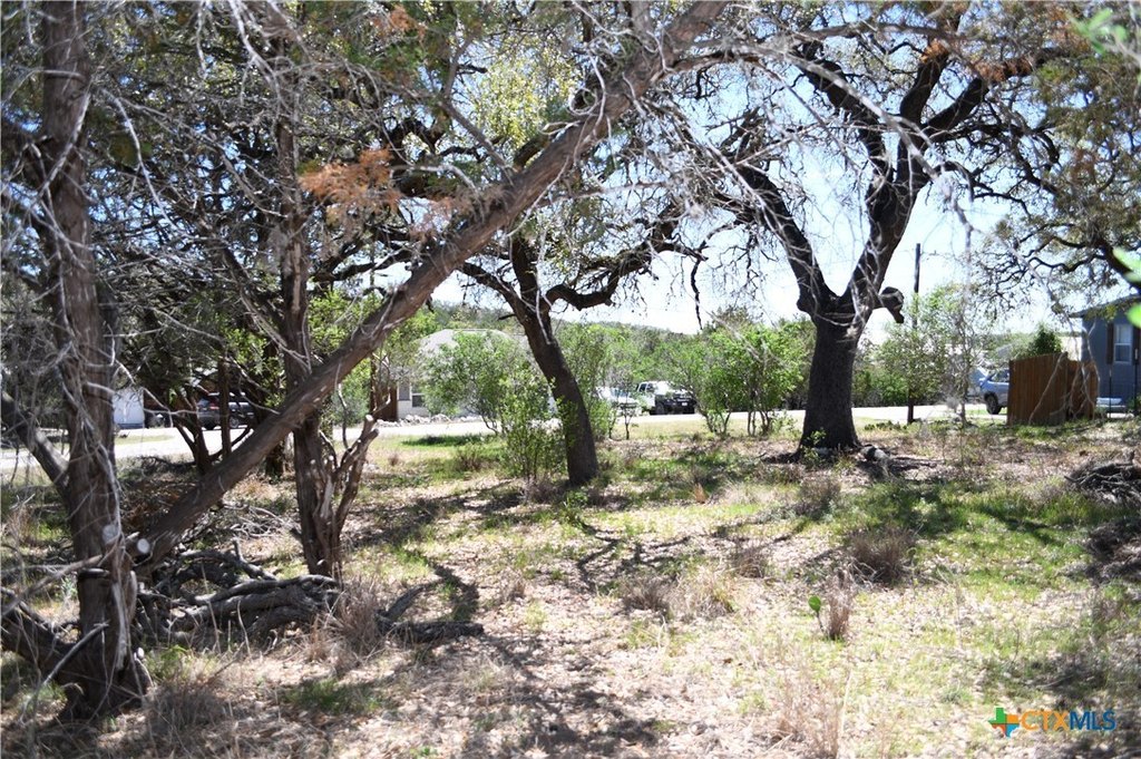 Picture 7