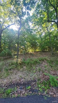 LAND - Owensville, MO