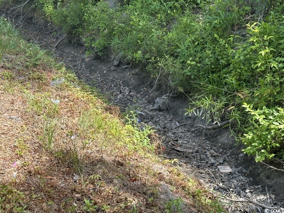 Picture 28