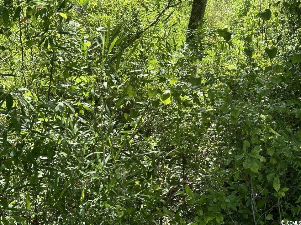 Picture 31