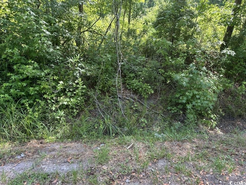 Picture 19