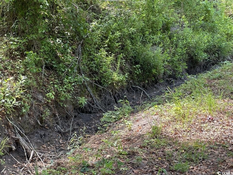 Picture 21