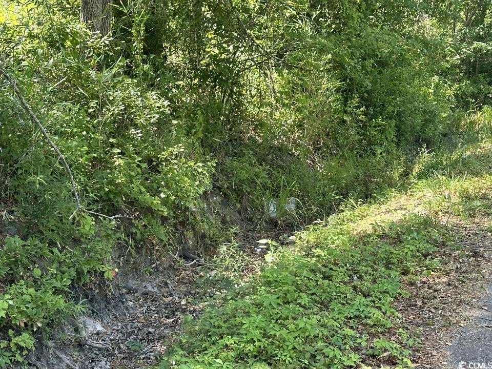 Picture 29