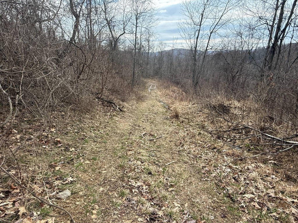 Picture 38