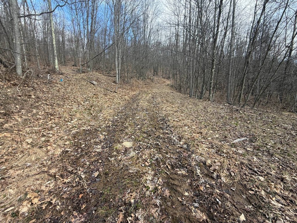 Picture 27