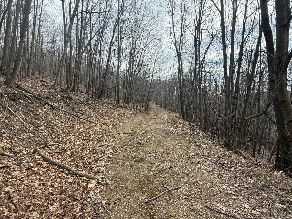 Picture 30