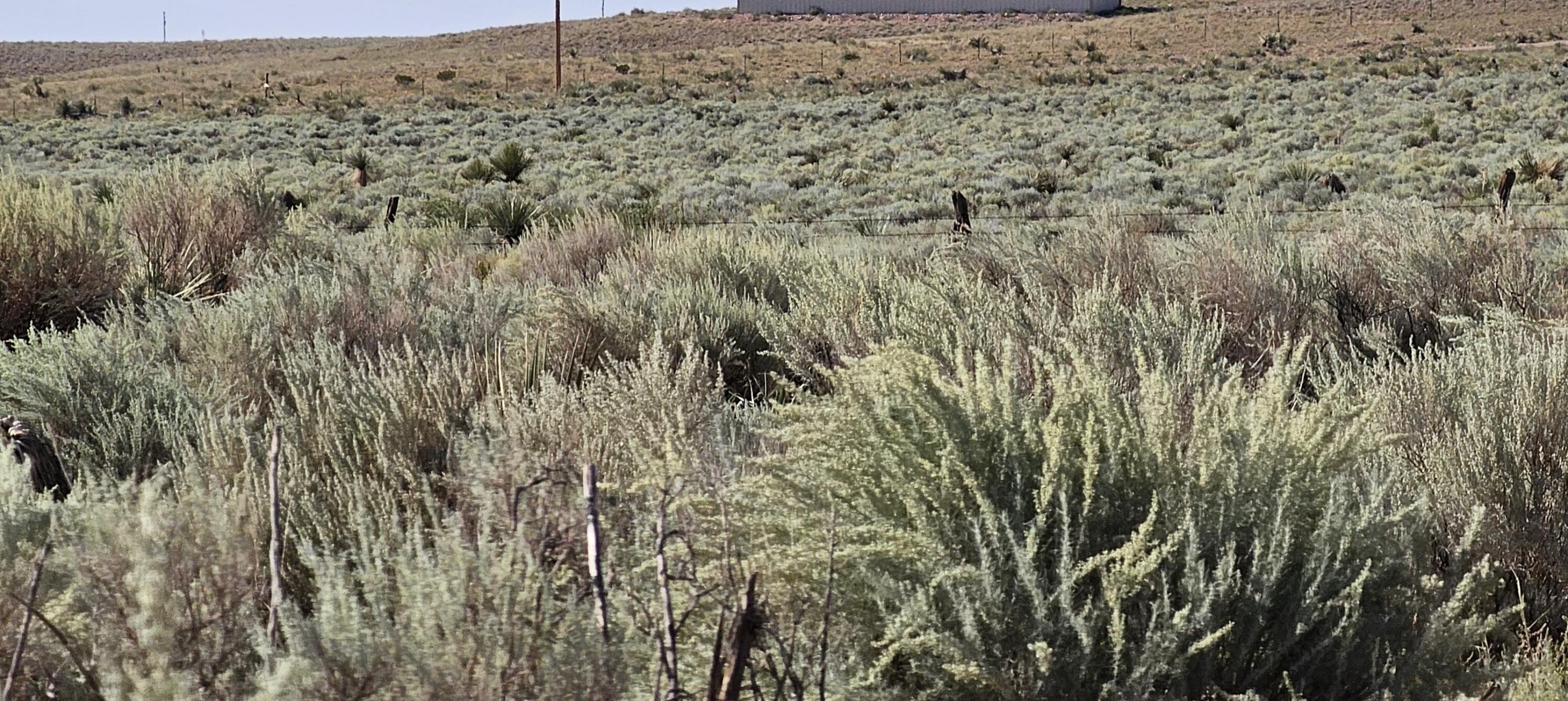 Socorro Land with Rolling Hills