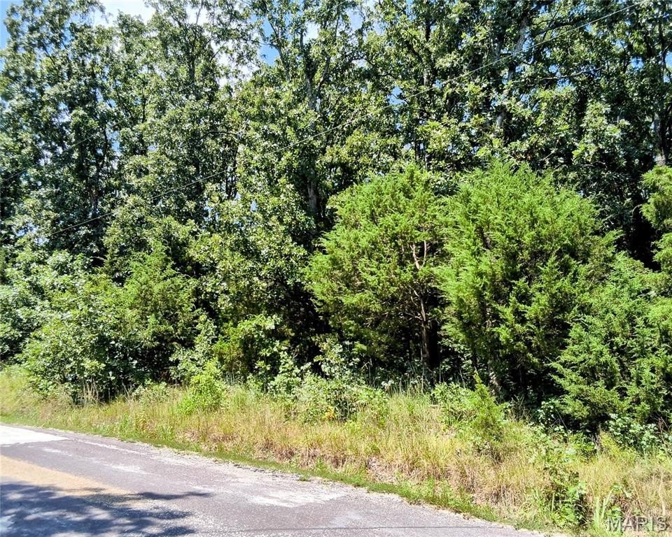 Picture 4