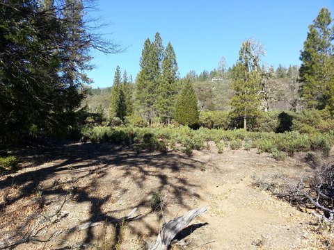 Land, Potter Valley, CA
